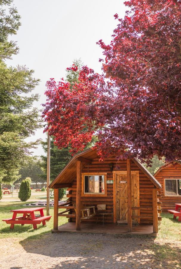 Redwood Coast Cabins And Rv Resort 유레카 외부 사진